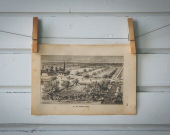 1894 Vintage The Po Valley Lithograph Illustration