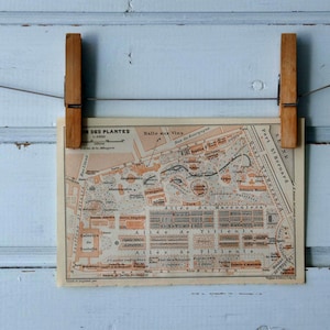 Carte vintage du Jardin des Plantes de 1909