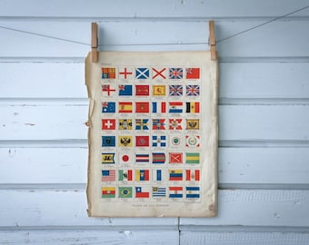 1904 Vintage Flags Illustration
