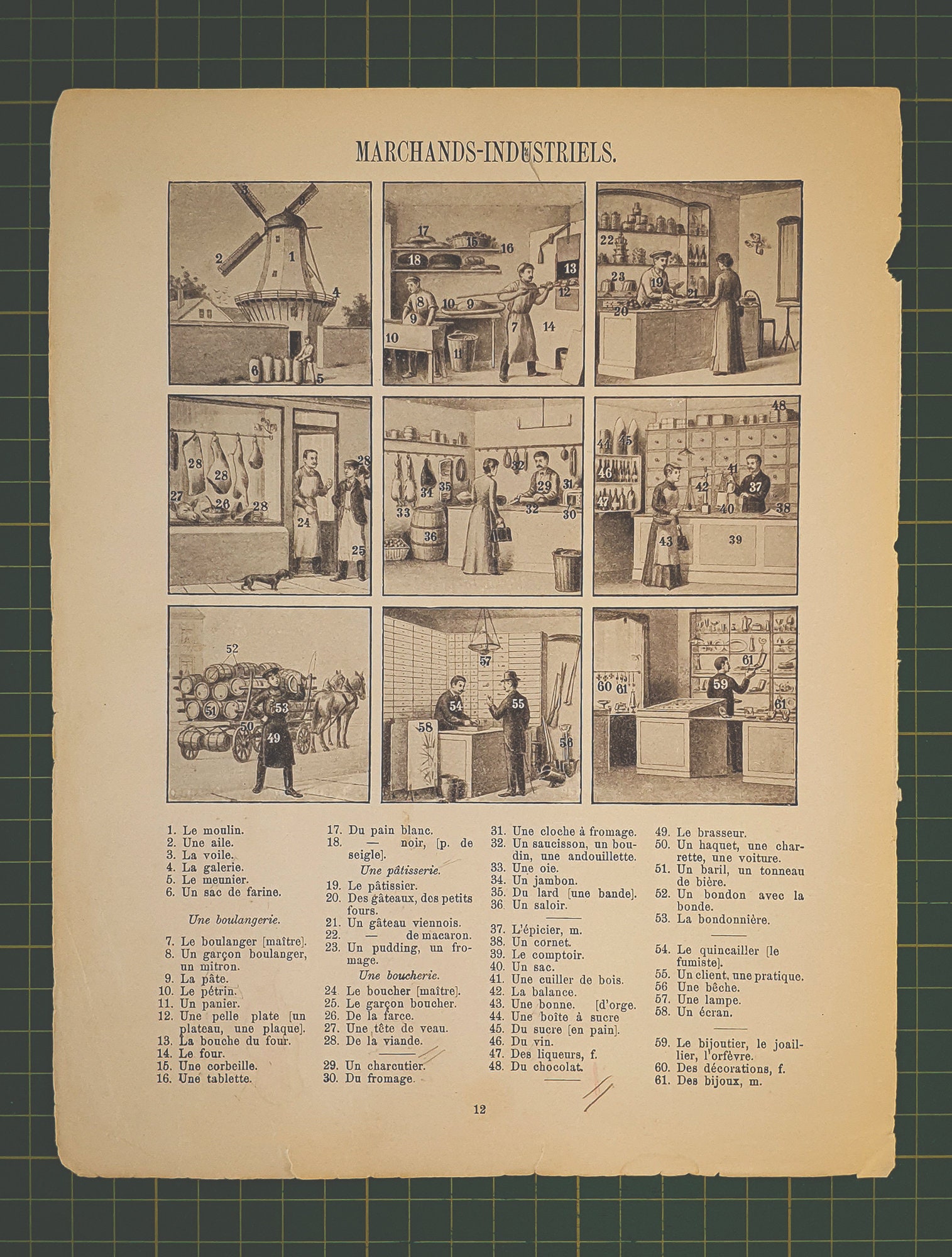gallery photo