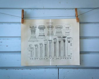 1907 Vintage Greek Orders Lithograph Illustration
