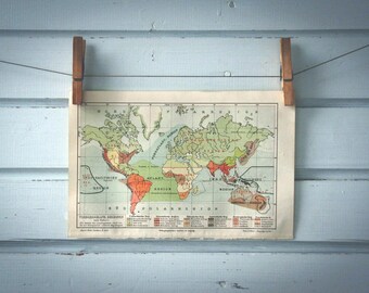 1907 Vintage World Zoogeography Map
