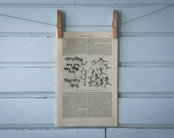 1907 Vintage Prehistoric Art Illustration