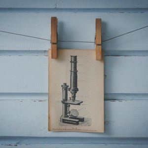 1900 Vintage Mikroskop Illustration