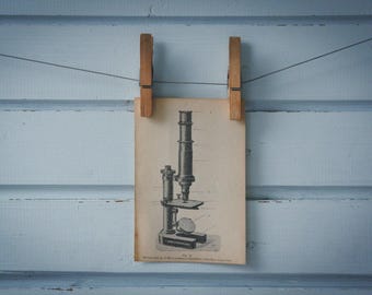 1900 Vintage Microscope Illustration