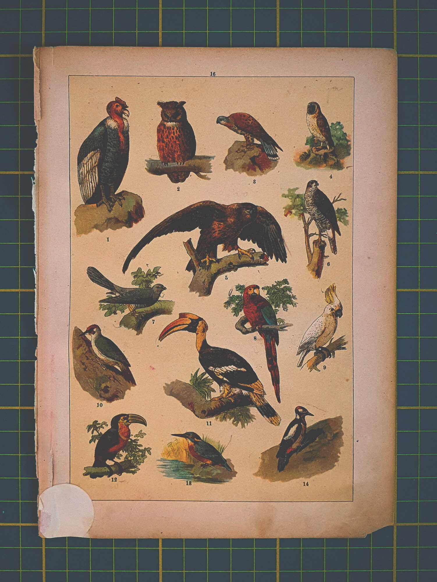 gallery photo