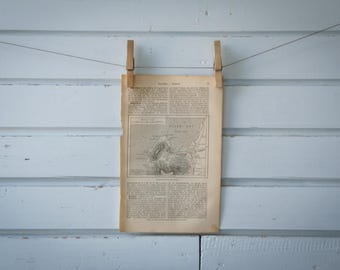 1887 Vintage Cape Town Map