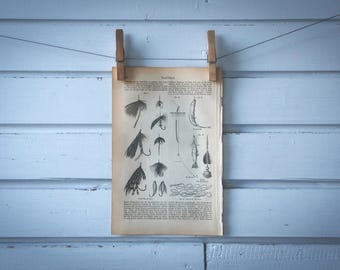 1890 Vintage Angling Baits Illustration