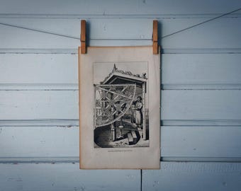 1884 Vintage Astronomer Illustration