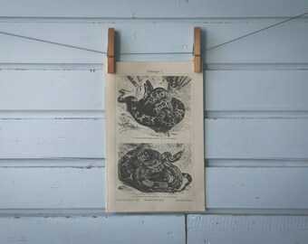 1907 Vintage Snakes Lithograph Illustration