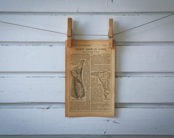 1921 Vintage Beef Cuts Illustration