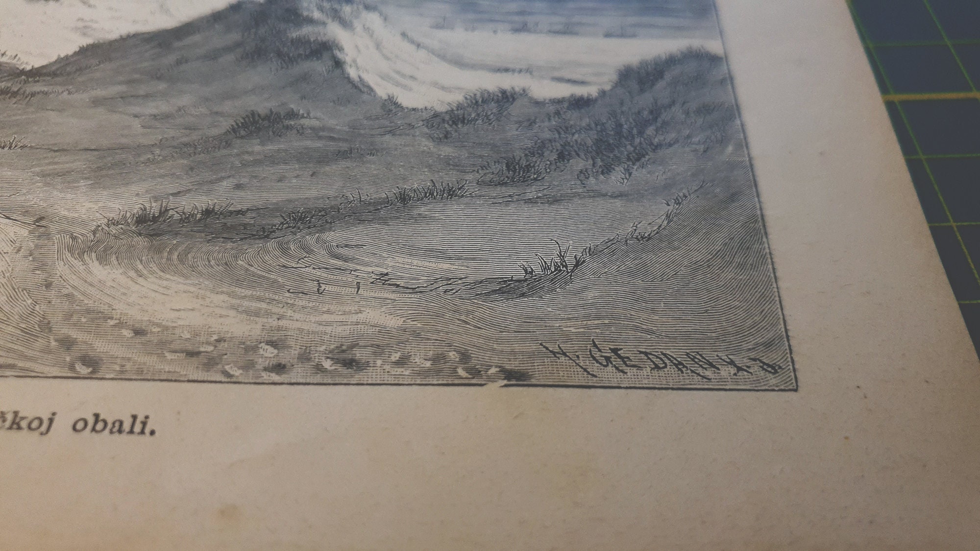 gallery photo