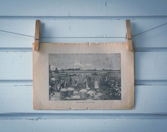1932 Vintage Cotton Harvest Lithograph Illustration
