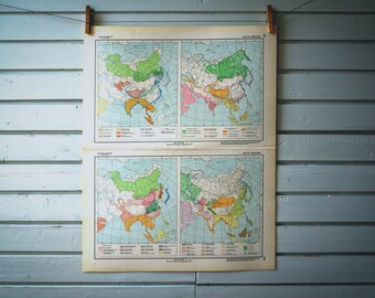 1964 Vintage Fauna Map of Asia