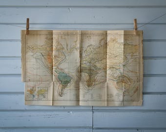 1887 Vintage World Zoogeography Map