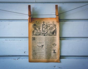 1913 Vintage Letter C Lithograph Illustration