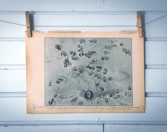 1930 Vintage Map of Singer Europe Network