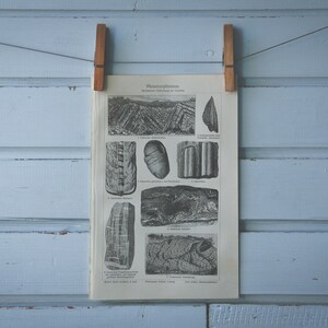 Peut inclure: Une illustration en noir et blanc de différents types de roches métamorphiques. L'illustration est légendée avec les noms des roches et leurs descriptions. L'illustration est imprimée sur une feuille de papier et est accrochée à un mur bleu.