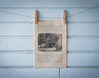 1897 Vintage North Carolina Farm Lithograph Illustration