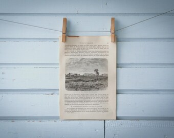 1897 Vintage Llanos Lithograph Illustration