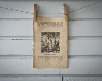 1894 Vintage Cork Harvest Lithograph Illustration