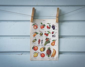 1956 Vintage Fruits Illustration