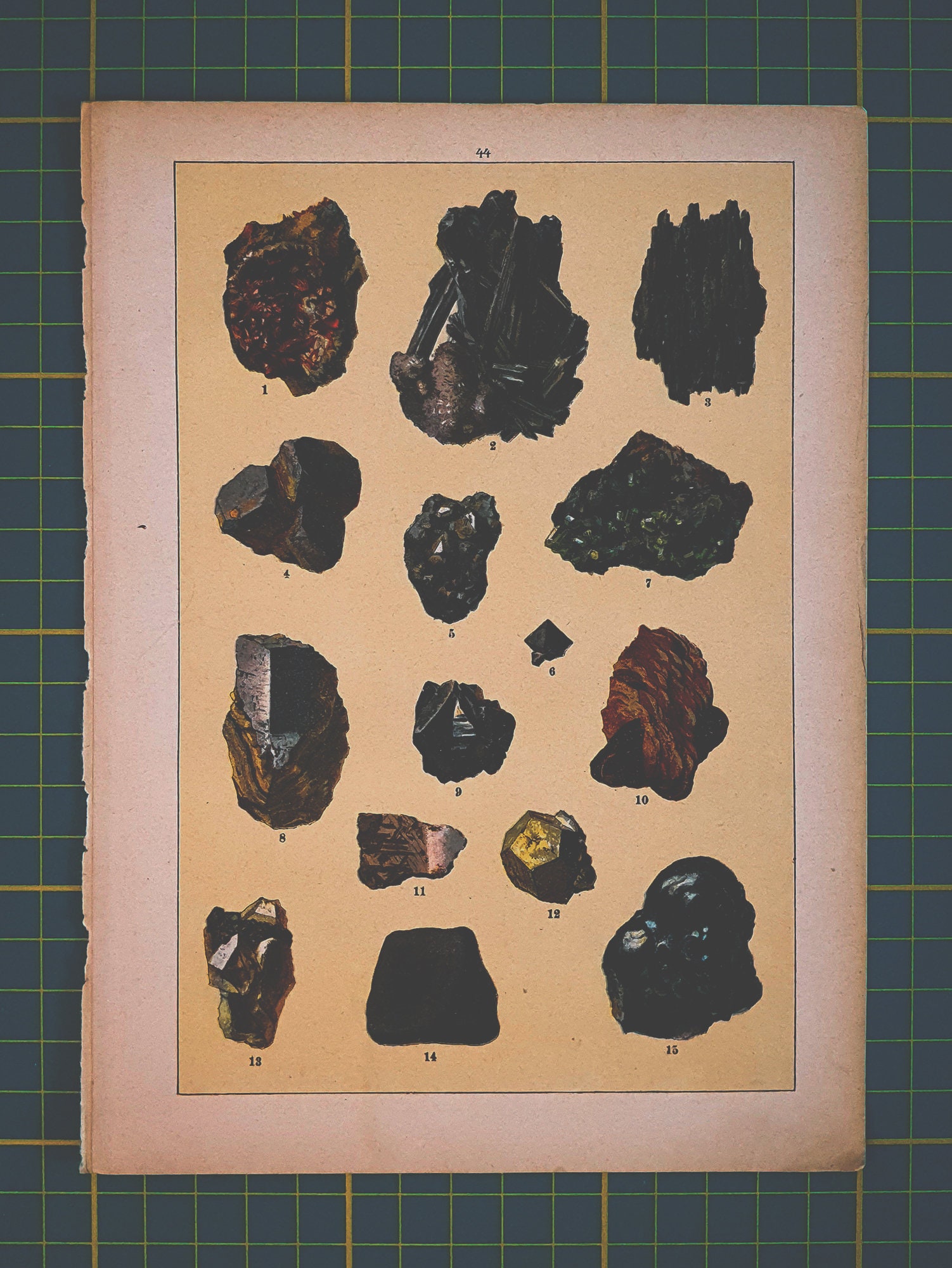 gallery photo