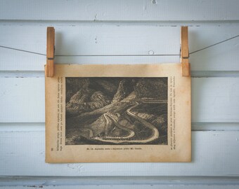 1890 Vintage Mont Cenis Pass Lithograph Illustration
