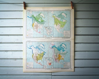 1964 Vintage North America Fauna Map