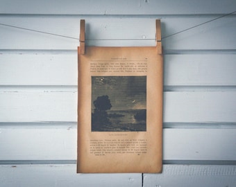 1884 Vintage Mars Landscape Illustration