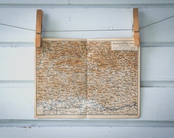1876 Vintage Bavarian Forest Map