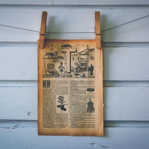 Ilustração em litografia vintage da letra T de 1913