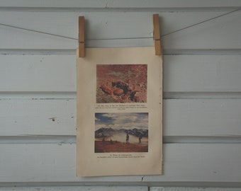1928 Vintage Katmai NP Illustration