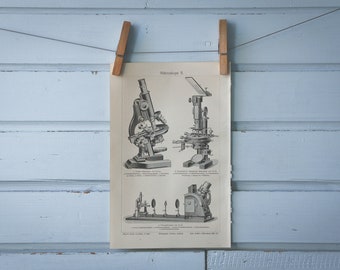 1907 Vintage Microscope Lithograph Illustration