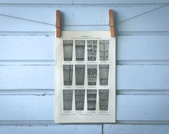 1907 Vintage Wood Structure Lithograph Illustration