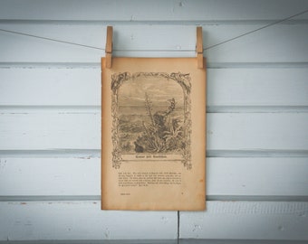 1900s Vintage Robinson Crusoe Illustration
