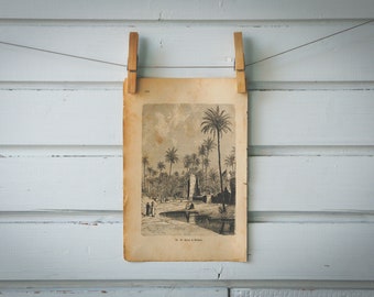 1888 Vintage Saharan Oasis Lithograph Illustration