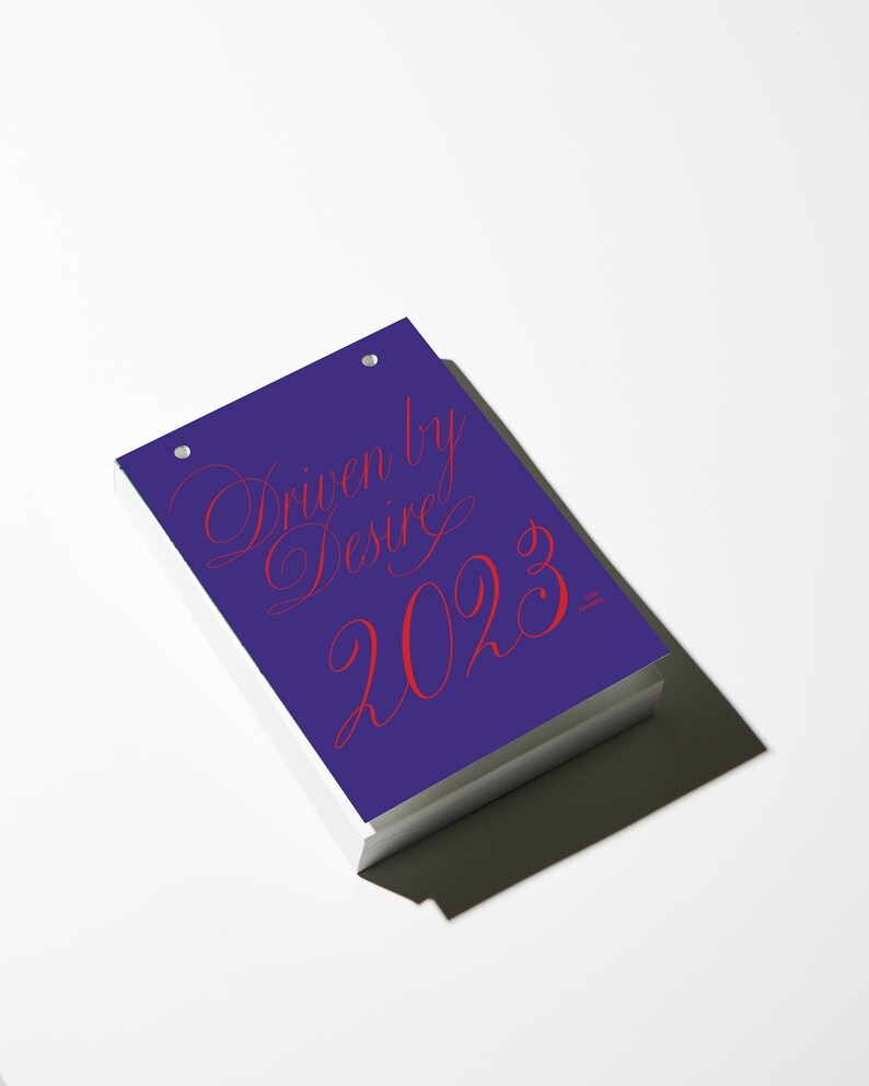 365 Days Calendar 2023 Illustration Tear off Daily Wall Etsy UK