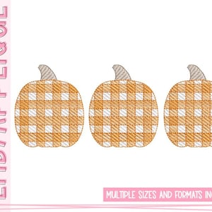 Kürbisse – Gingham – Drei in einer Reihe – Skizzendesign – Gingham-Kürbis-Skizzendesign – Skizzen-Kürbis-Stickerei – Stickmotive