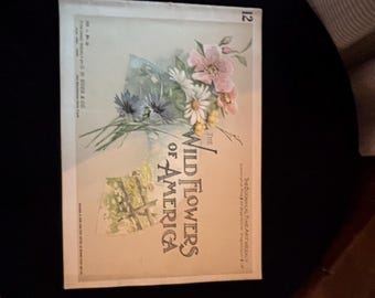 1894 Wild Flowers of America Botanical Magazine Antique Floral Chromolithograph Art Journal Victorian Nature Decor Vol 12
