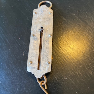 Puede incluir: Una báscula de colgar de plata con un gancho y un dial que lee hasta 2000 gramos. La báscula está etiquetada como "Scientific Co. Chicago U.S.A."