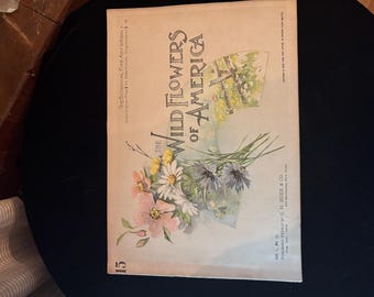 1894 Wild Flowers of America Botanical Art Weekly Vol 1 No 15 Victorian Chromolithograph