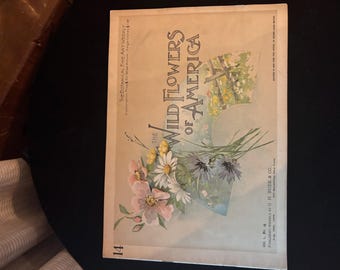 1894 Wild Flowers of America Vol 14 Antique Botanical Chromolithograph Magazine