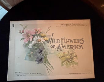 1899 Wild Flowers of America Botanical Fine Art Weekly Vol 1 No 11 Antique Floral Print Magazine | Victorian Botanical Ephemera