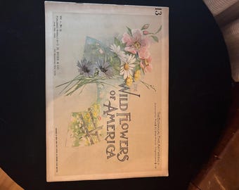 1894 Wild Flowers of America Botanical Chromolithograph Art Journal (Vol 13)