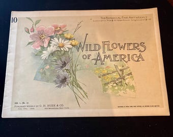 Antique 1894 Wild Flowers of America Vol 10 Botanical Fine Art Weekly Chromolithograph Prints Victorian Nature Book