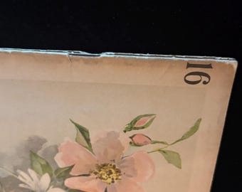 1894 Wild Flowers of America Botanical Art Weekly Victorian Chromolithograph Magazine Antique Floral Print Folio Vol 16