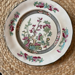Antique Ironstone English Plate. Indian Tree Pattern.
