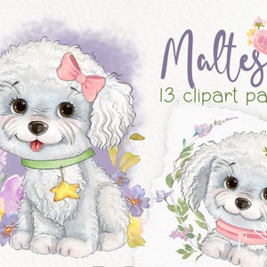 Cute Maltese PNG Sublimation design Download. Dachshund puppy digital watercolor illustration, Dog lovers gif, dog mom gift, mother&#39;s day