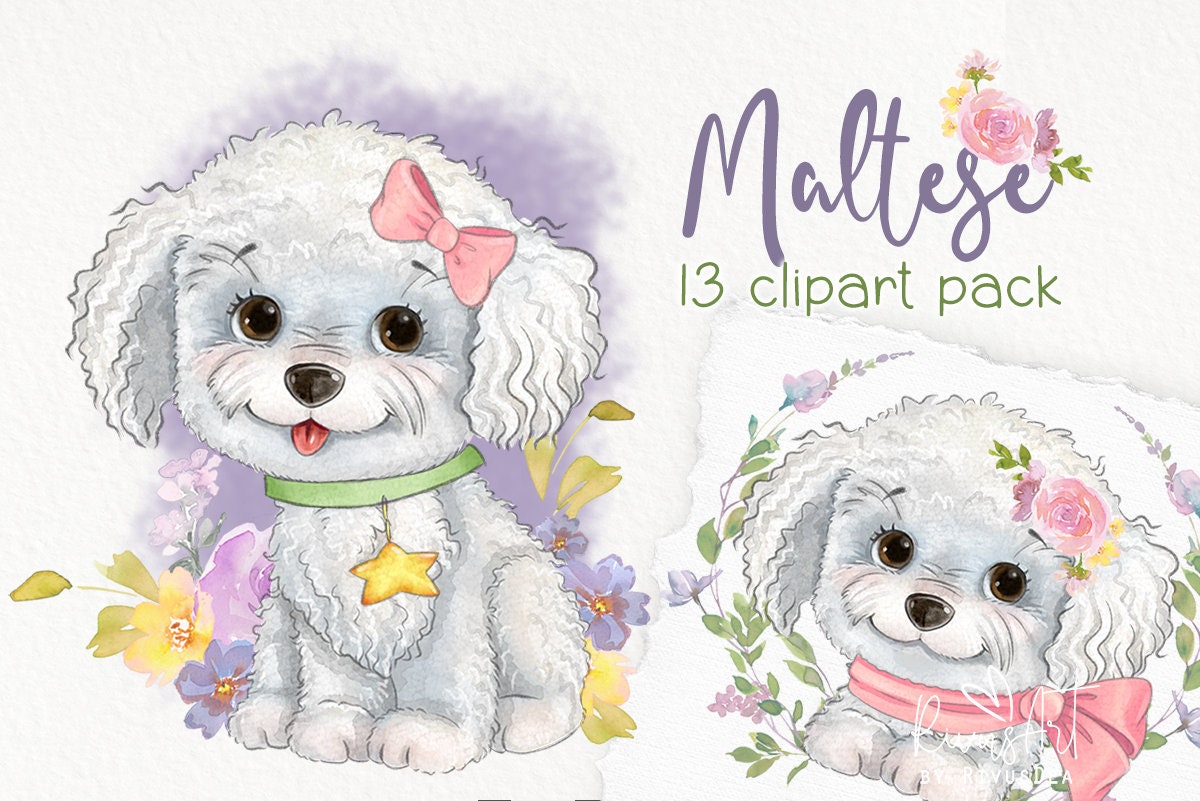 Cute Maltese PNG Sublimation design Download. Dachshund puppy digital watercolor illustration, Dog lovers gif, dog mom gift, mother's day